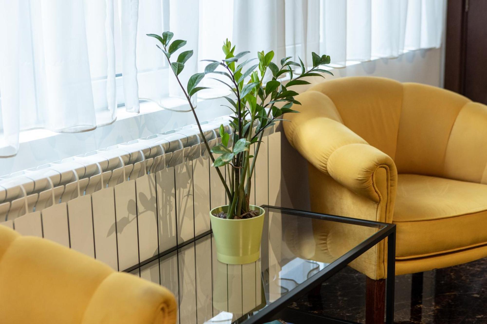 Garni House 46 Plus Belgrad Exterior foto